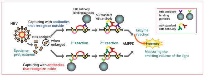 Lumipulse® G HBsAg-Quant | Fujirebio