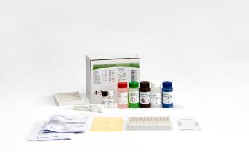 INNOTEST® HIV Antigen mAb | Fujirebio